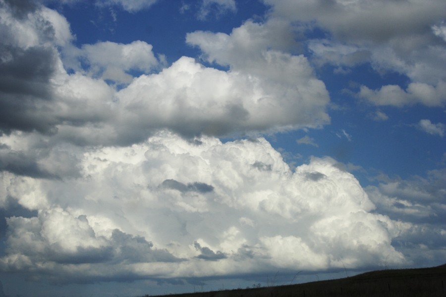 thunderstorm cumulonimbus_calvus : Merriwa, NSW   5 October 2008