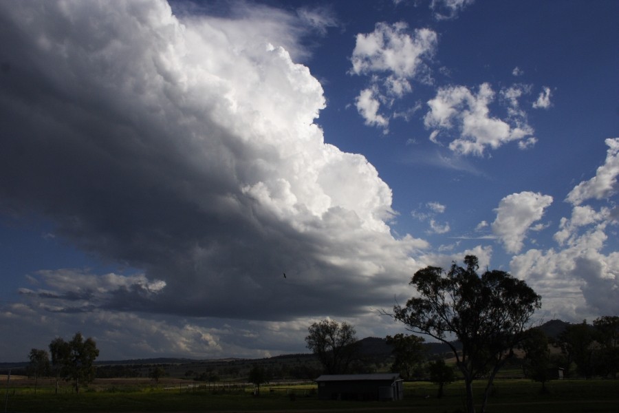 updraft thunderstorm_updrafts : between Scone and Merriwa, NSW   5 October 2008