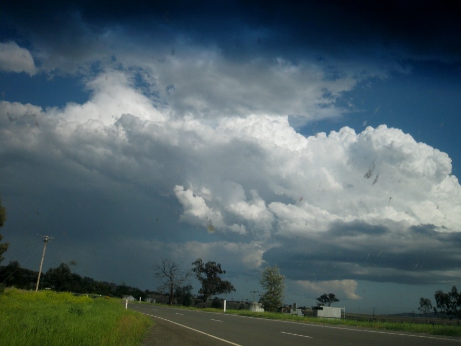 updraft thunderstorm_updrafts : between Scone and Merriwa, NSW   5 October 2008