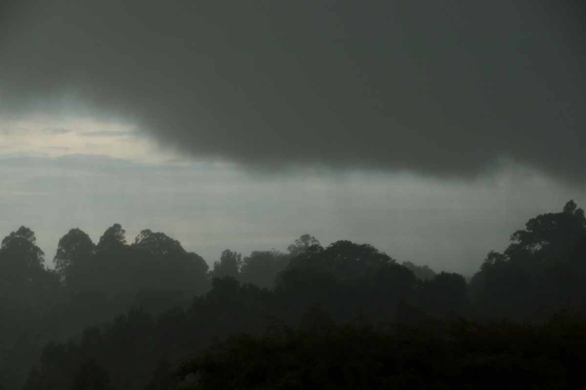 raincascade precipitation_cascade : McLeans Ridges, NSW   28 December 2008