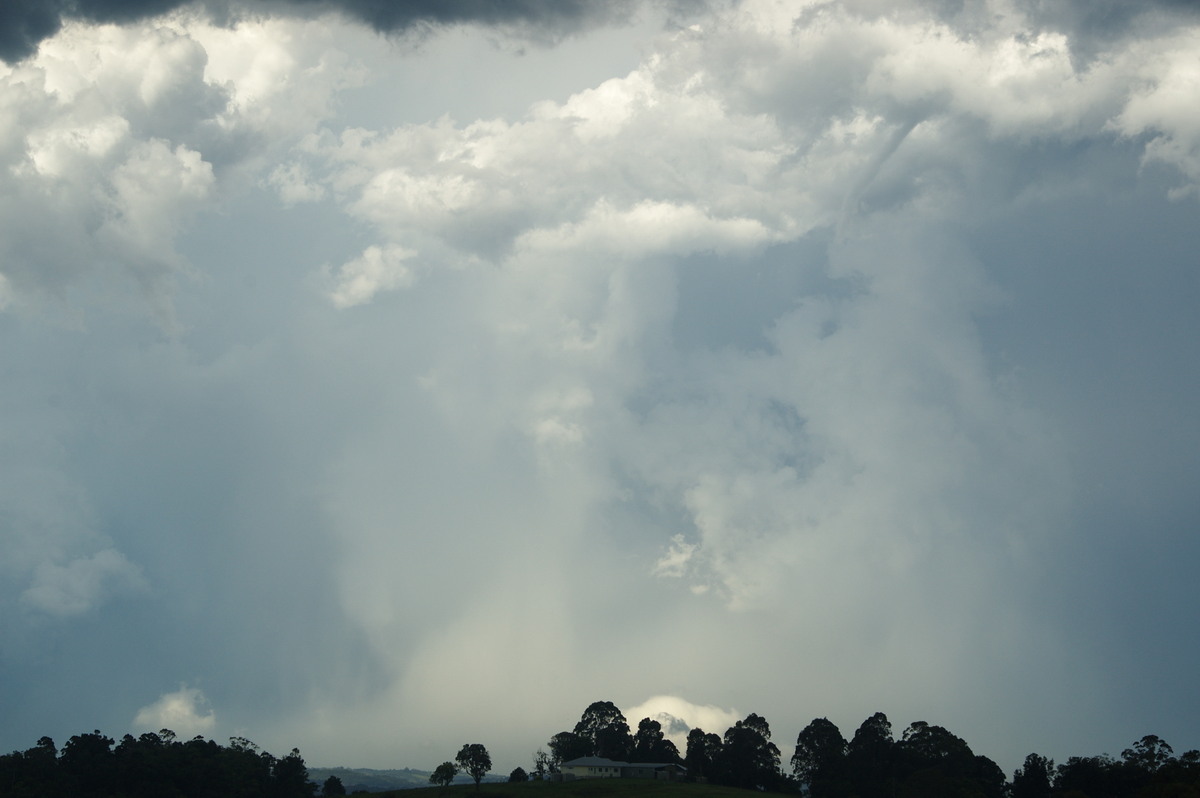 cumulonimbus thunderstorm_base : McLeans Ridges, NSW   30 December 2008