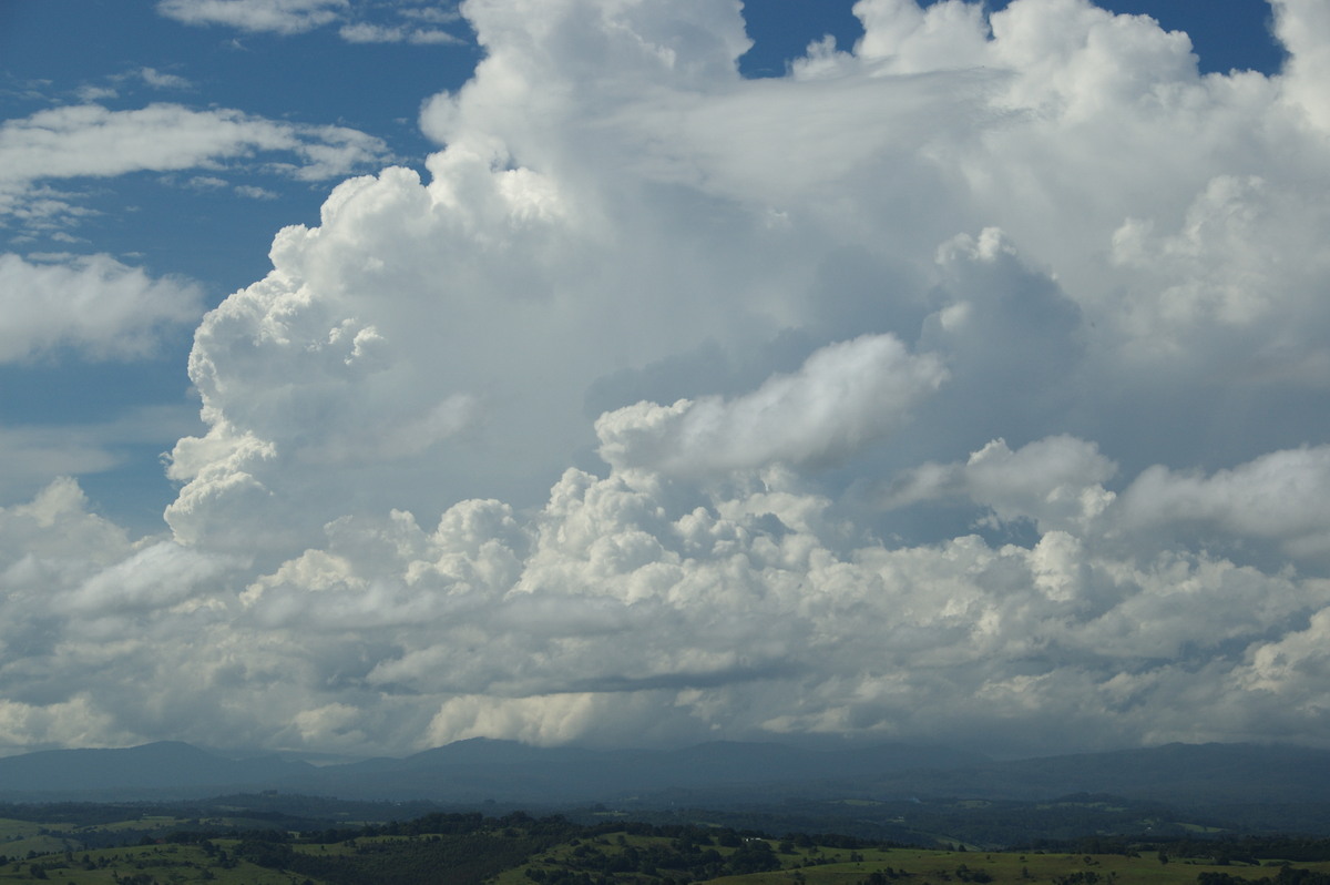 thunderstorm cumulonimbus_calvus : McLeans Ridges, NSW   23 January 2009