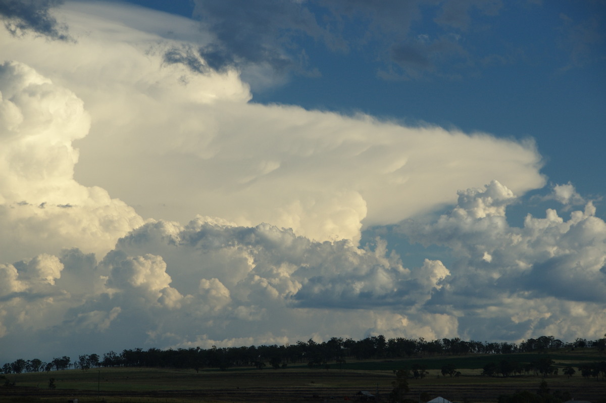 thunderstorm cumulonimbus_incus : near Warwick, QLD   24 January 2009