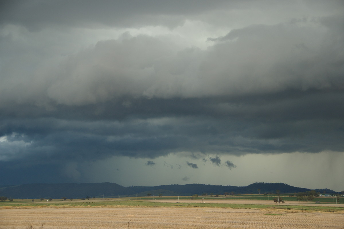 shelfcloud shelf_cloud : near Killarney, QLD   24 January 2009