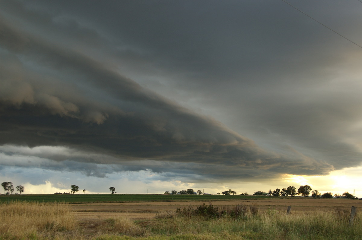 shelfcloud shelf_cloud : near Killarney, QLD   24 January 2009