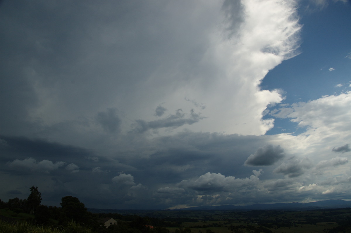 thunderstorm cumulonimbus_incus : McLeans Ridges, NSW   20 February 2009