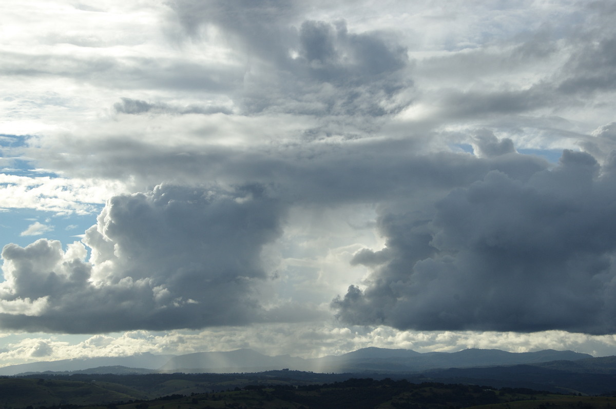 cumulus mediocris : McLeans Ridges, NSW   4 May 2009