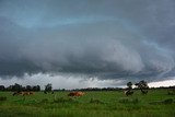 Australian Severe Weather Picture